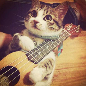 小明白白在线发布
